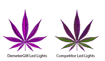 Plant comparison: DemeterGM LED vs competitor